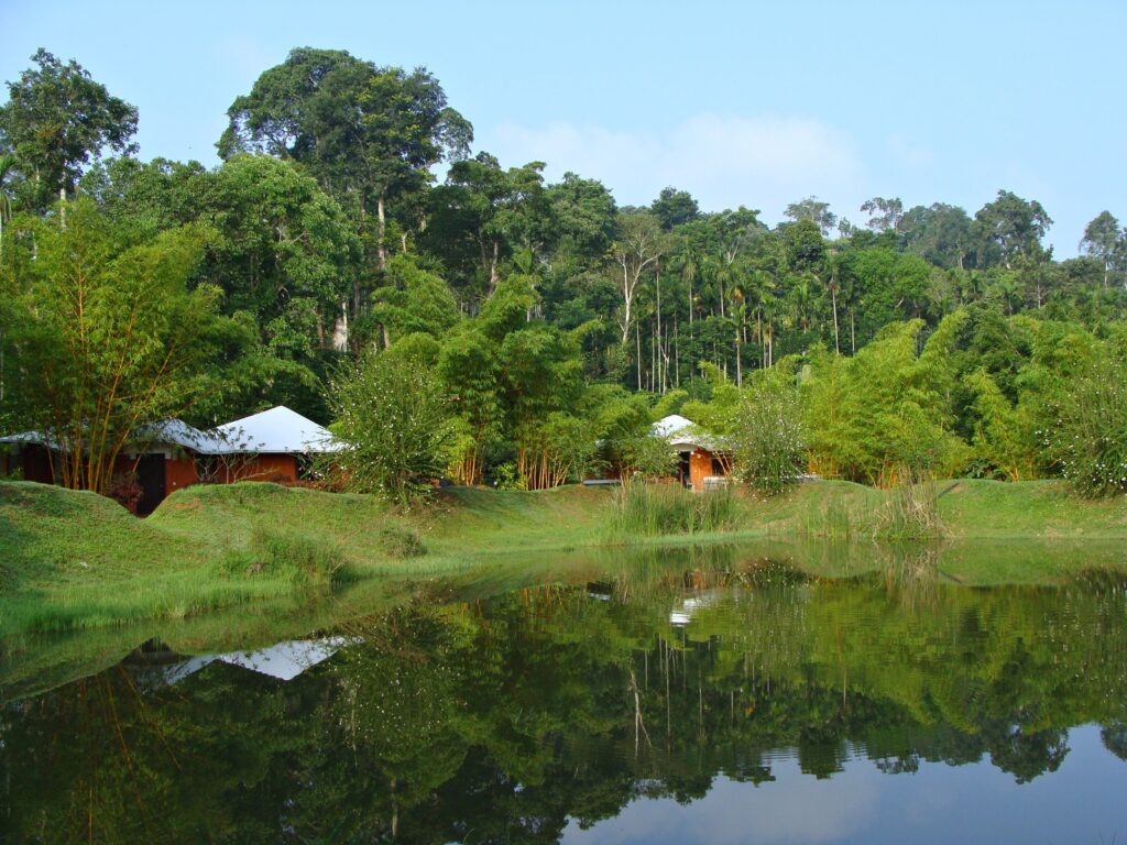 Coorg ( Karnataka)