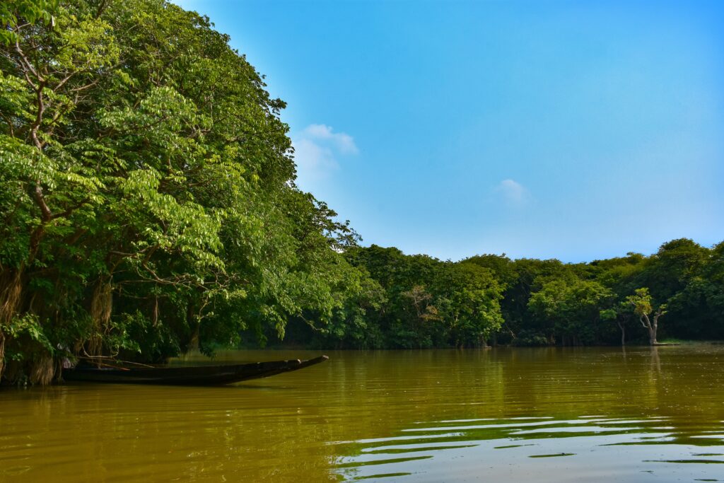 Sundarbans