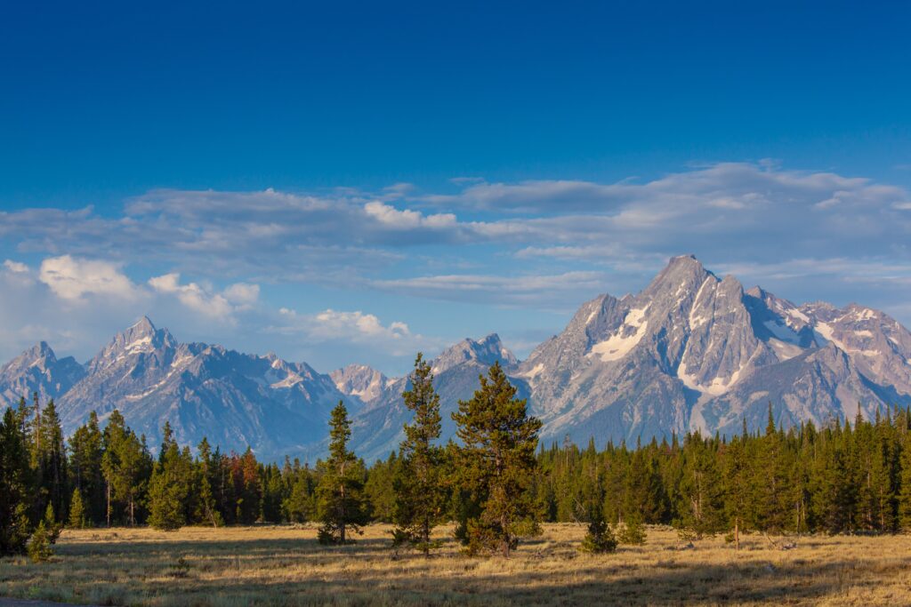 Yellowstone National Park